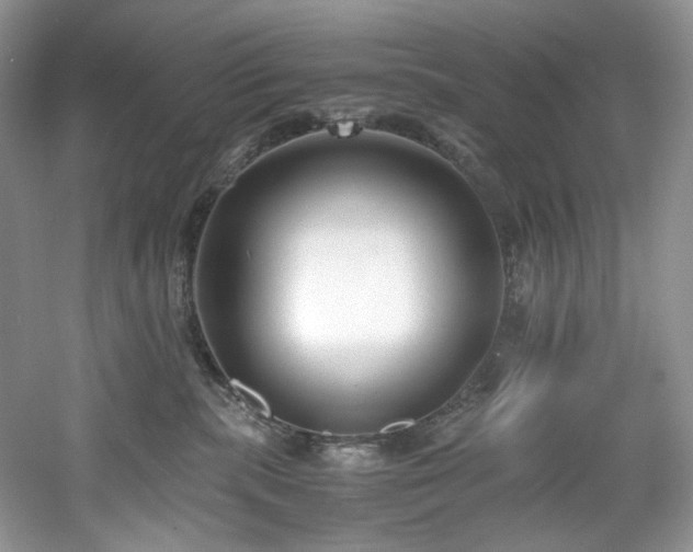 X0000061720283200512021347