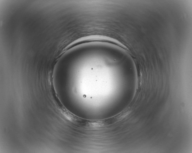 X0000061720286200512021347