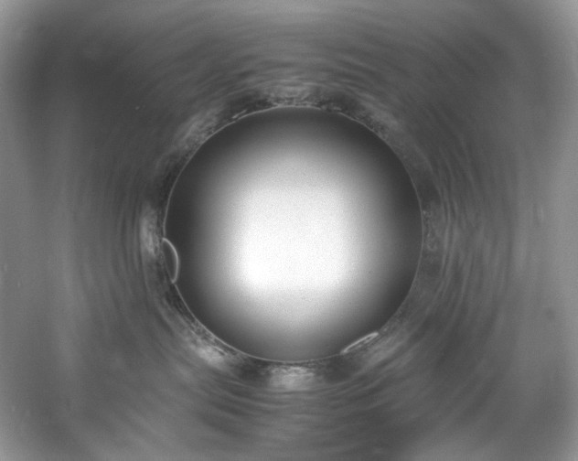 X0000061720287200512021347