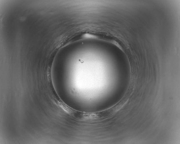 X0000061720288200512021347
