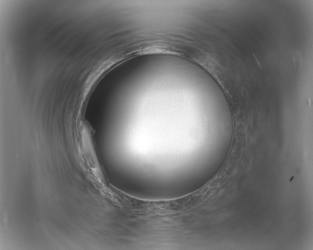 X0000061720289200512021346