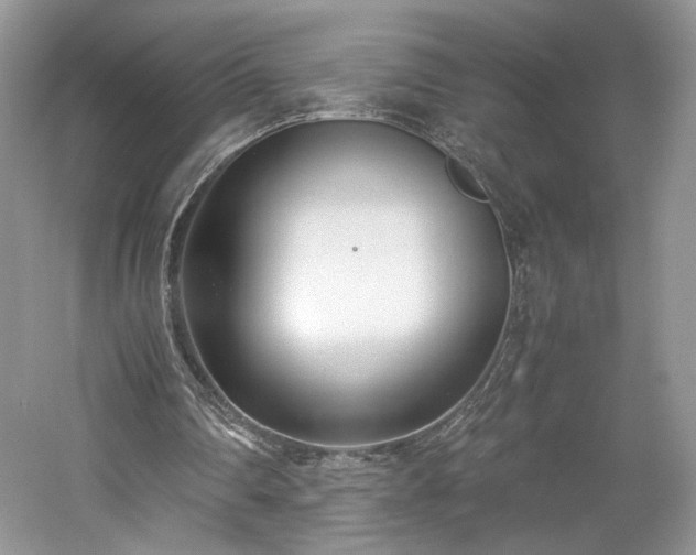 X0000061720290200512021346