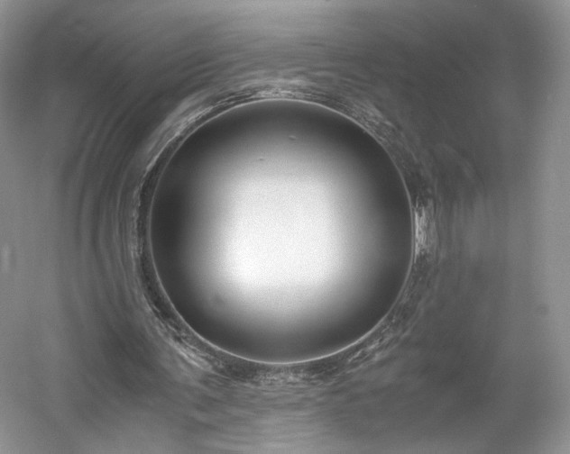 X0000061720291200512021346
