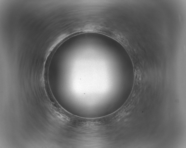 X0000061720292200512021346