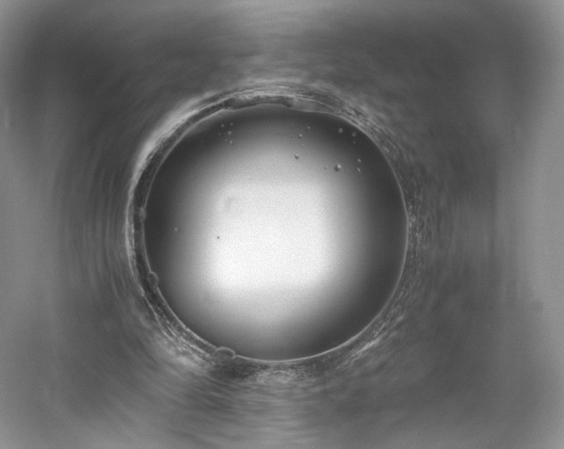 X0000061720294200512021346