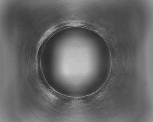 X0000061720296200512021346