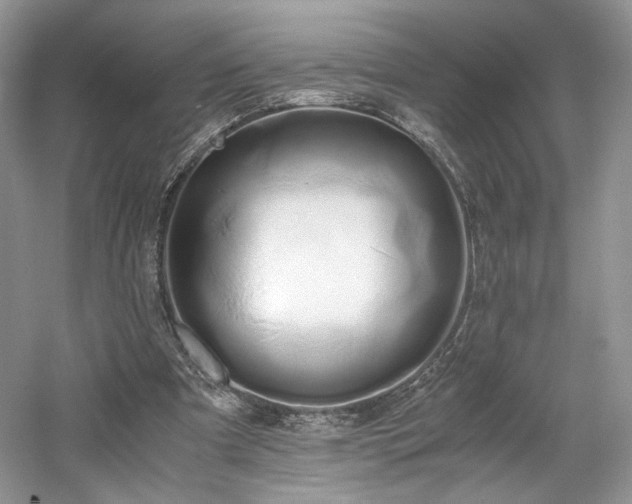 X0000061720297200512021346