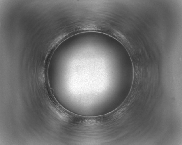 X0000061720298200512021346