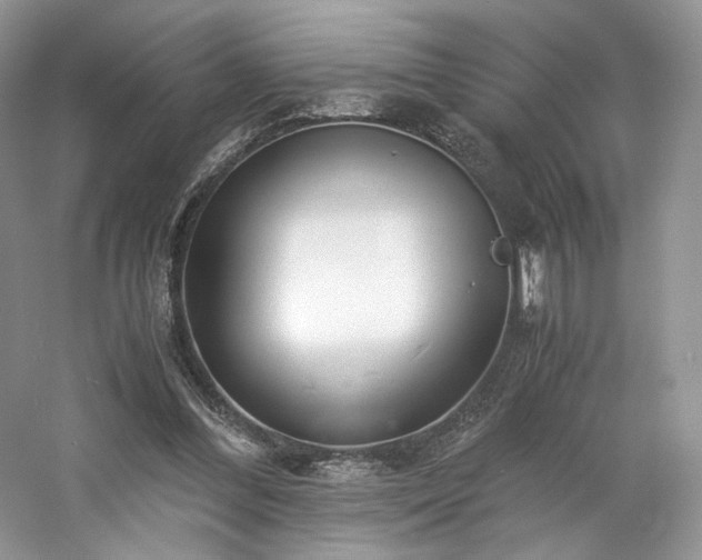 X0000061720300200512021346
