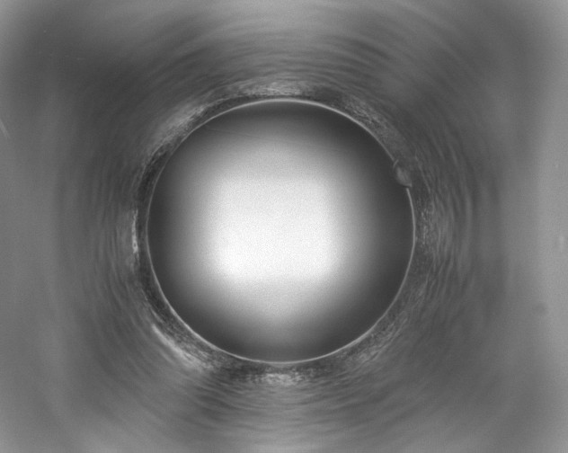 X0000061720302200512021346