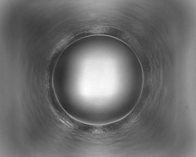 X0000061720303200512021346