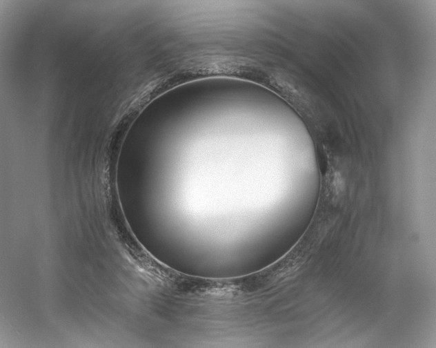 X0000061720306200512021346