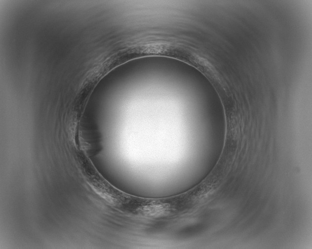X0000061720307200512021346