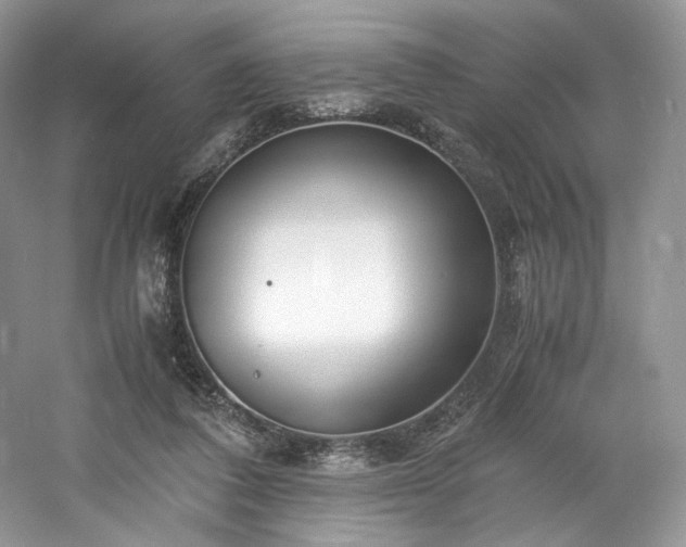 X0000061720308200512021346