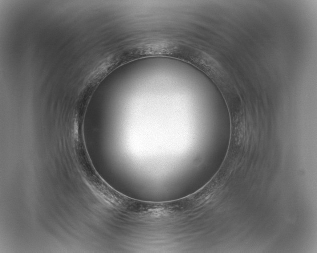 X0000061720310200512021346