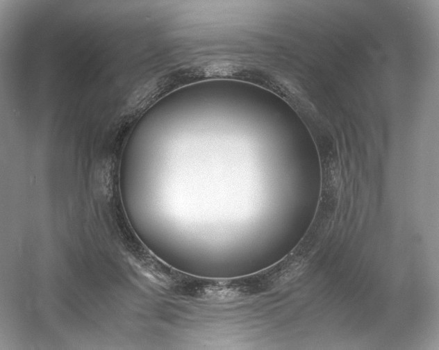 X0000061720311200512021346