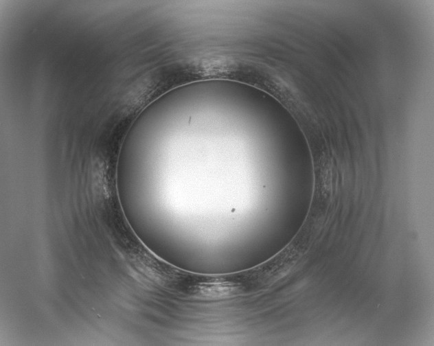 X0000061720316200512021346