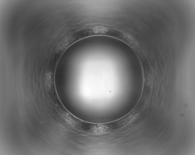 X0000061720321200512021346