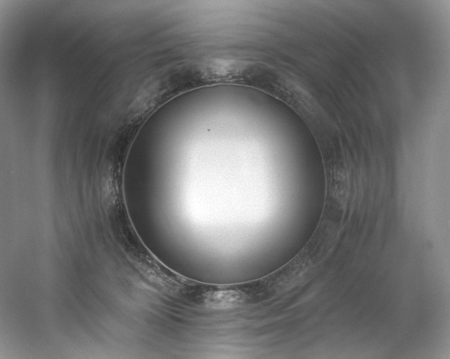 X0000061720324200512021346