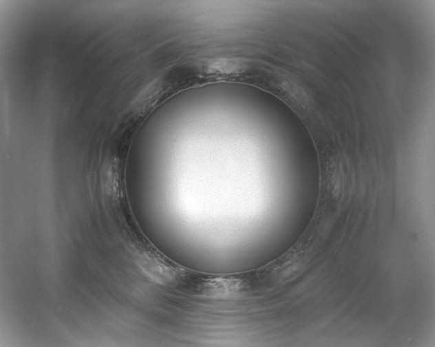 X0000061720328200512021346