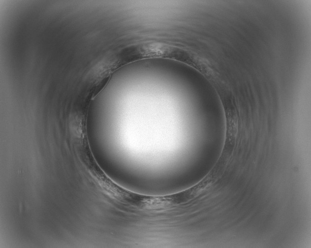 X0000061720331200512021346
