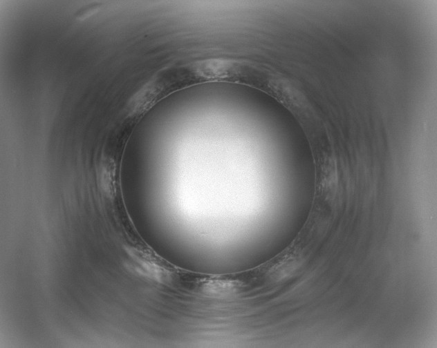 X0000061720332200512021346