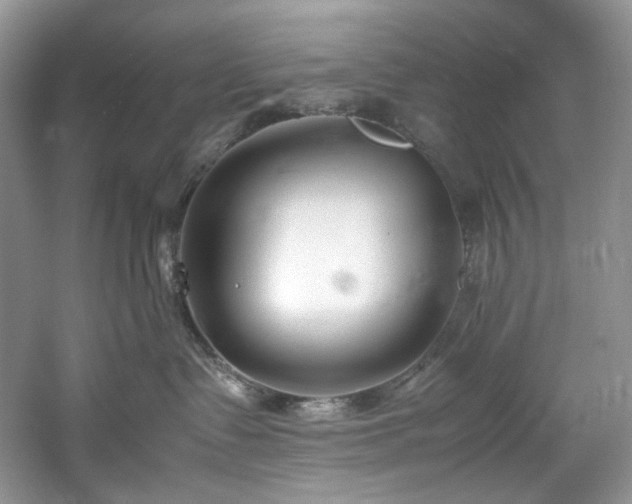 X0000061720335200512021346