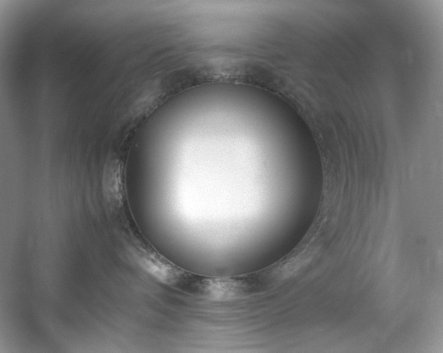 X0000061720336200512021346
