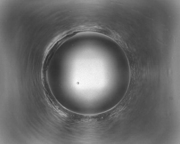 X0000061720340200512021345
