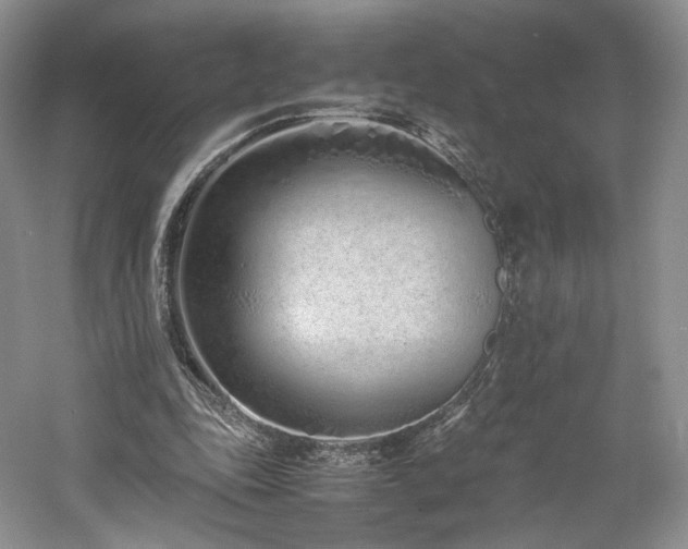 X0000061720343200512021345