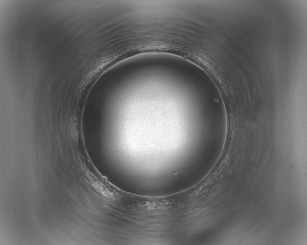 X0000061720345200512021345