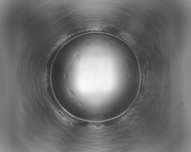 X0000061720346200512021345