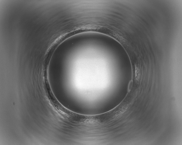 X0000061720348200512021345