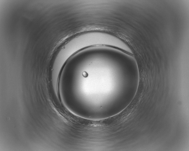 X0000061720352200512021345