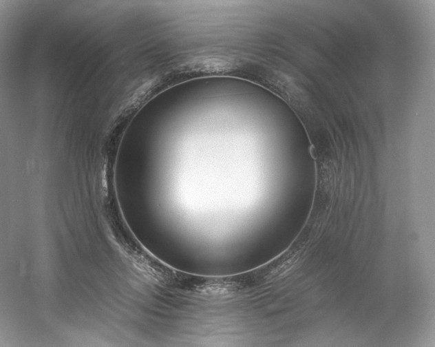 X0000061720358200512021345
