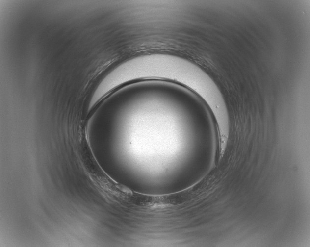 X0000061720360200512021345
