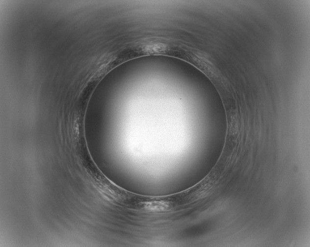 X0000061720363200512021345