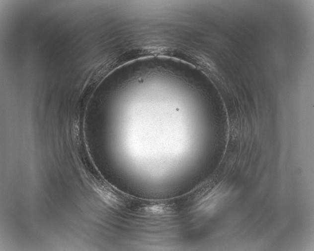 X0000061720365200512021345
