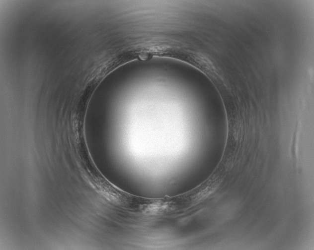 X0000061720366200512021345