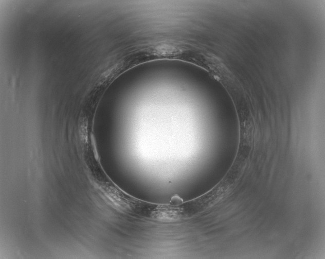 X0000061720368200512021345