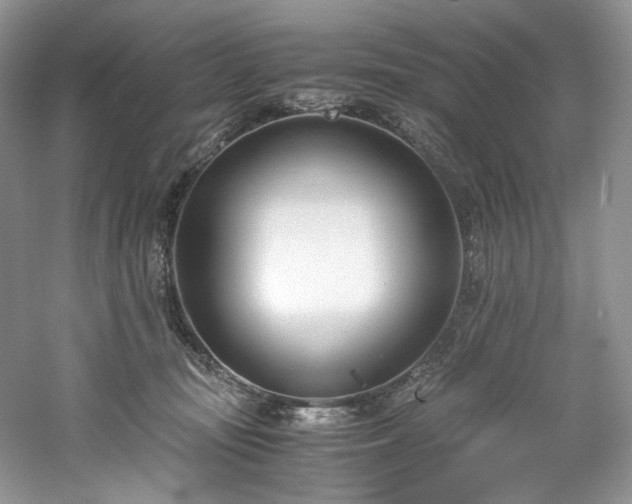 X0000061720371200512021345
