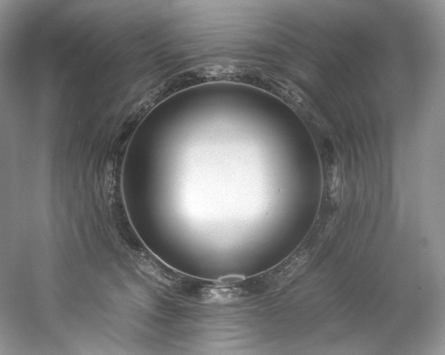 X0000061720372200512021345
