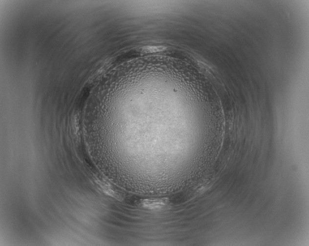 X0000061720373200512021345
