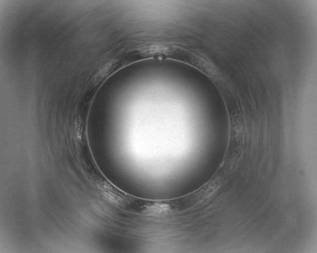 X0000061720374200512021345