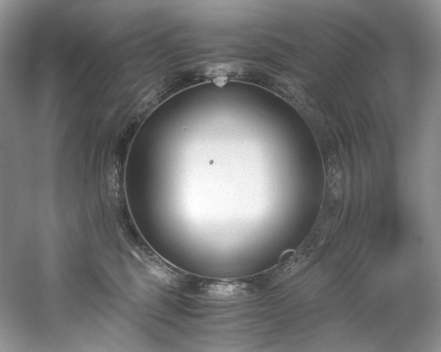 X0000061720375200512021346