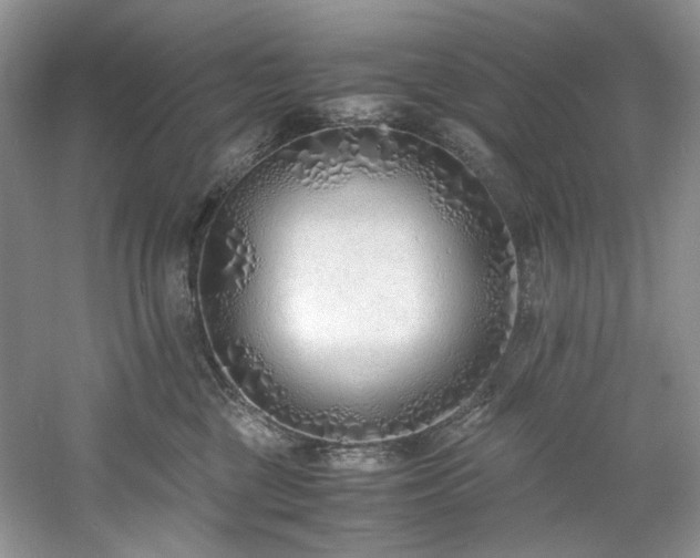 X0000061720377200512021346