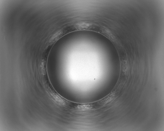 X0000061720378200512021346