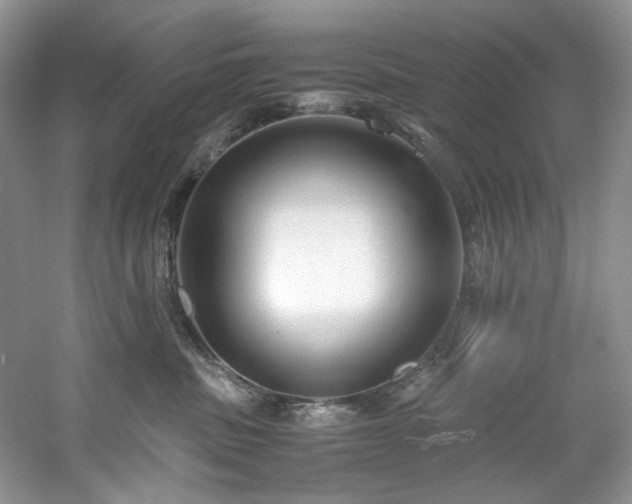 X0000061720379200512021346