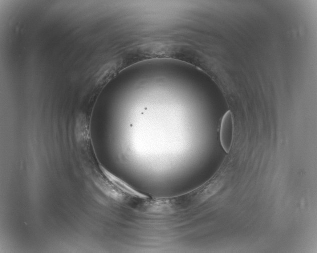 X0000061720384200512021346