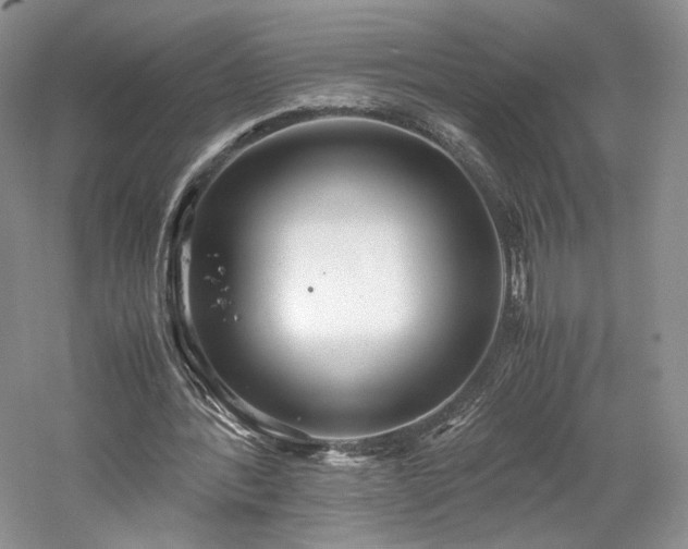 X0000061720388200512021345